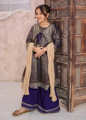 3 pc embroidered maysuri gharara